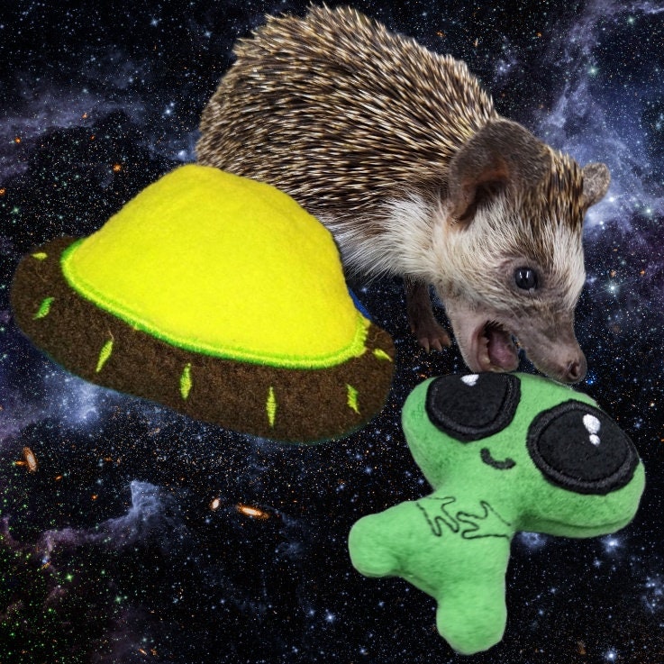 Alien for UFO Lovers Mint Stuffed Hedgehog Fleece Toy Cage Enrichment Decor Photo Prop