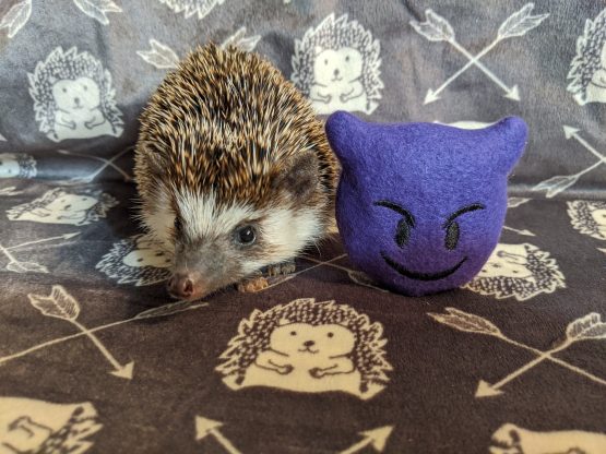 Evil Smile Emoji Lemongrass Stuffed Hedgehog Toy