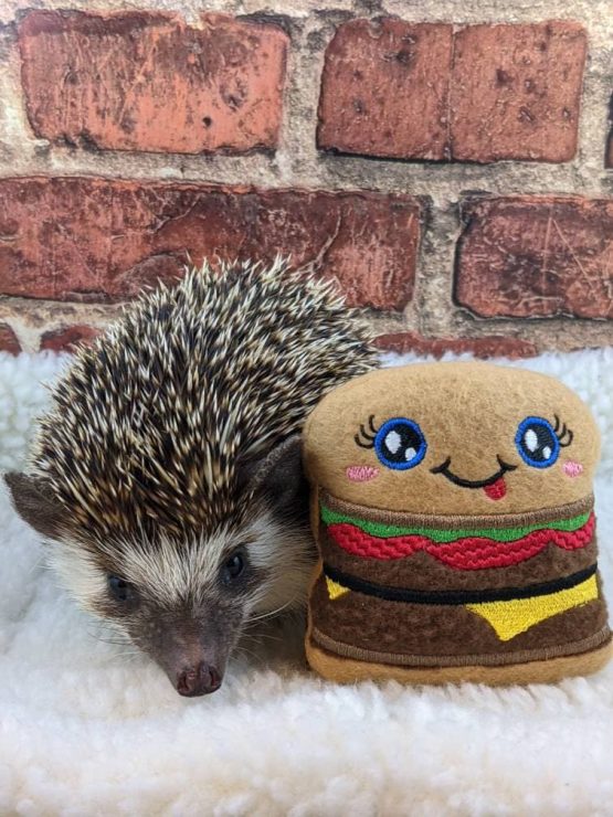 Kawaii Burger Mint Stuffed Hedgehog Toy Cage Buddy Chibi Friend