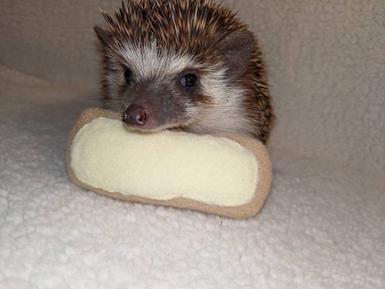 Lemon Bar Pastry Lemongrass Stuffed Hedgehog Toy