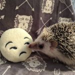 Meh Emoji Mint Stuffed Hedgehog Toy - Image 2