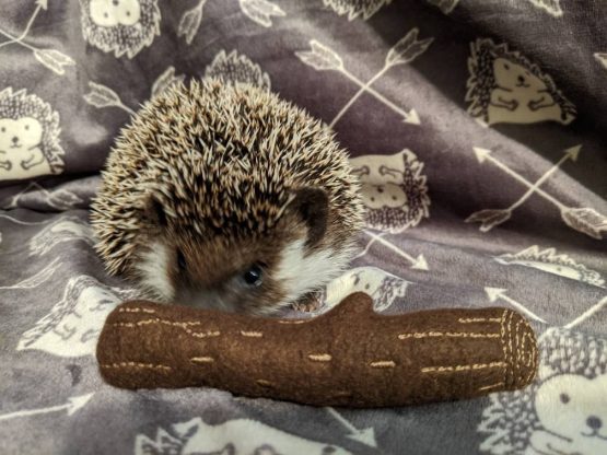 Mint Stick Stuffed Hedgehog Toy