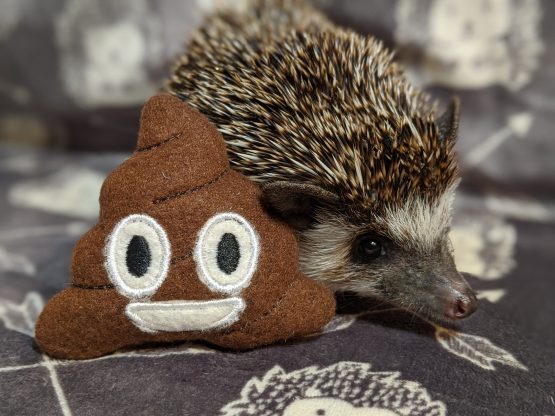 Poop Emoji Mint Stuffed Hedgehog Toy