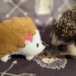 Muffin The Mint Stuffed Hedgehog Toy - Image 4